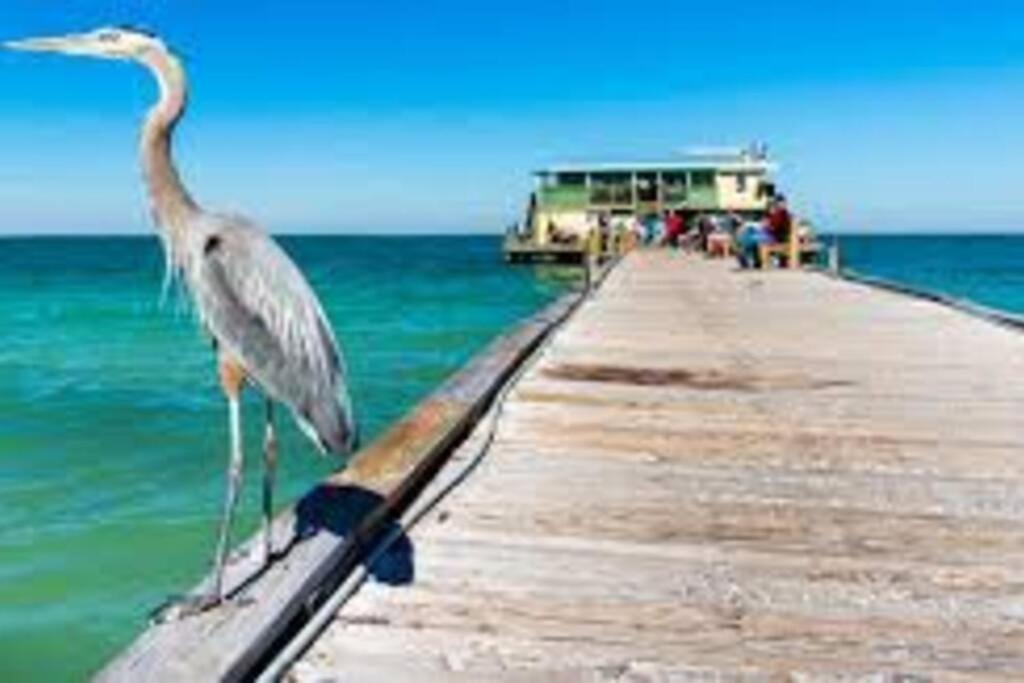 Ferienwohnung Waterview Oasis Retreat, Minutes To Anna Maria Island And Img Bradenton Exterior foto